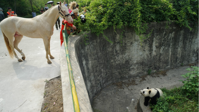 圖片關鍵詞 圖片關鍵詞