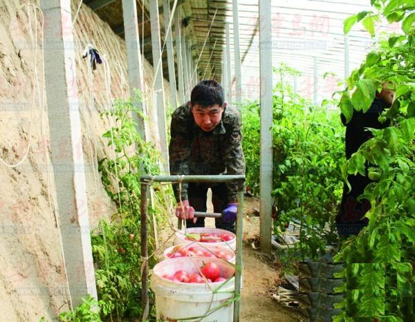 圖片關鍵詞 圖片關鍵詞